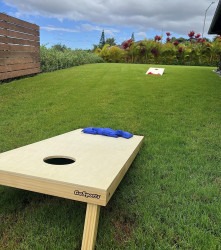 Giant Corn Hole Game (Beanbag Toss)