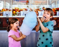 Cotton Candy Machine