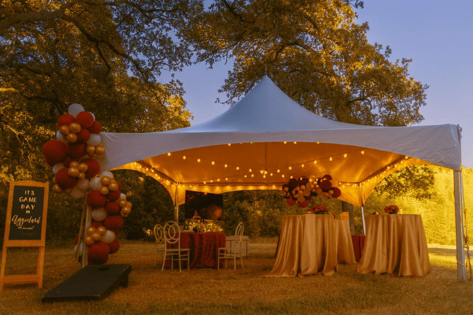 Party Rental Service Area: San Diego County High peak tent delivered and set up by Tents and Things in San Diego County