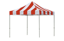 Carnival Canopy